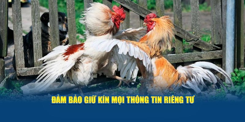 dam-bao-giu-kin-moi-thong-tin-rieng-tu