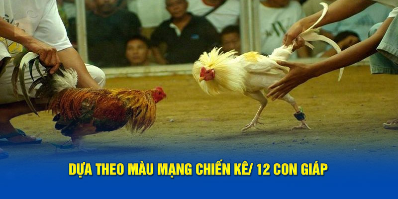 dua-theo-mau-mang-chien-ke-12-con-giap