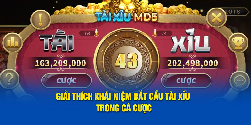 giai-thich-khai-niem-bat-cau-tai-xiu-trong-ca-cuoc