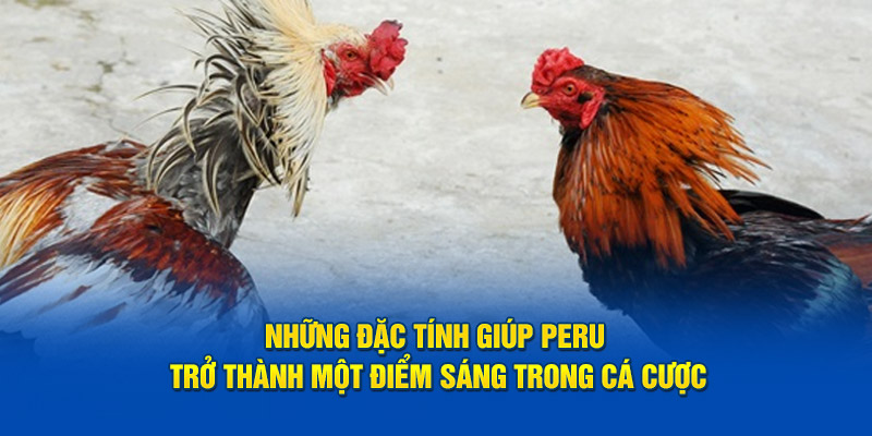 nhung-dac-tinh-giup-peru-tro-thanh-mot-diem-sang-trong-ca-cuoc