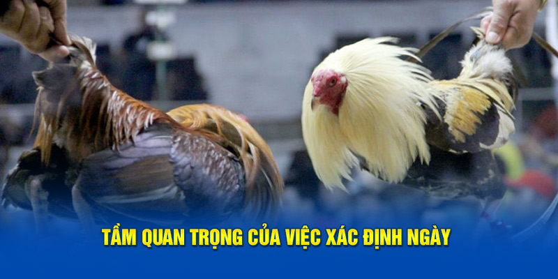 tam-quan-trong-cua-viec-xac-dinh-ngay